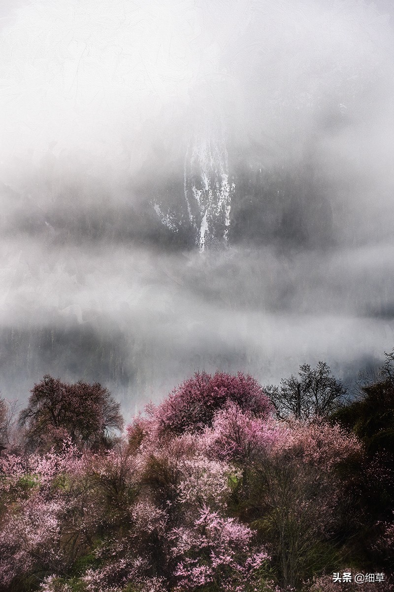 24—70镜头拍摄什么好,24-70镜头什么光圈最清晰