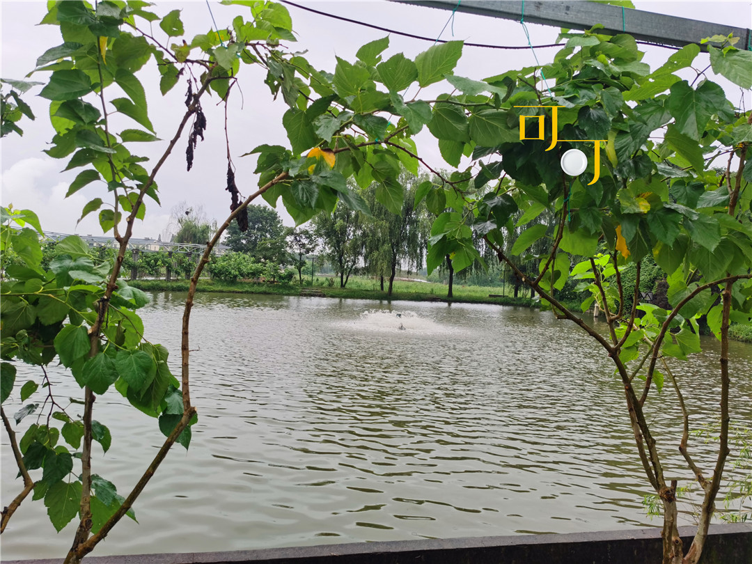 湖州荻港渔村美食,湖州荻港渔庄陈家私房菜