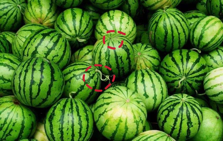 挑选西瓜的小妙招有哪些,西瓜挑选技巧商用