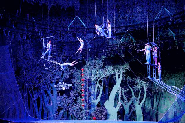 厦门灵玲动物王国大熊猫,厦门马戏团灵玲动物王国观光游览