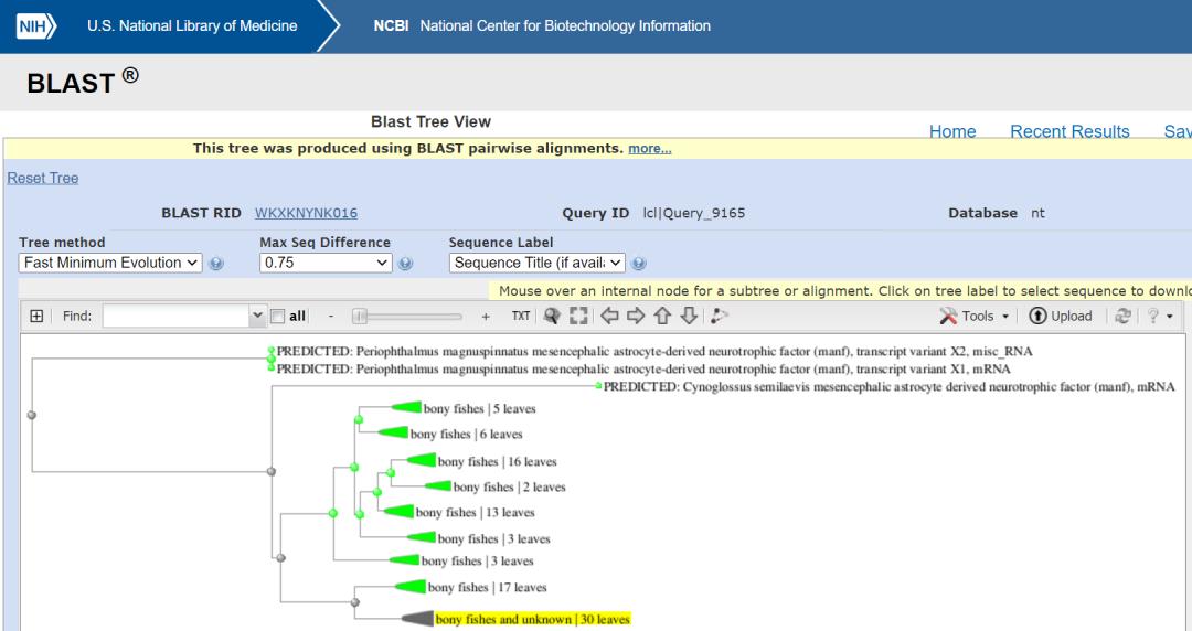 序列数据库和序列对比工具,序列同源性分析软件