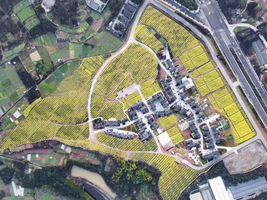 4个案例，看袈蓝建筑如何成为“田园综合体”的先行者