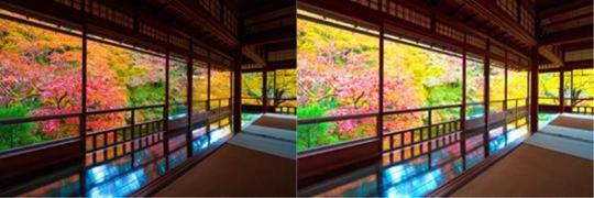 开启hdr是不是可以看hdr视频,为什么有的视频有hdr有的没有