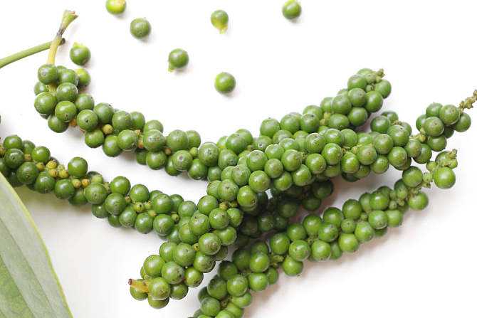 胡椒传入中国的历史简短,胡椒为什么这么流行