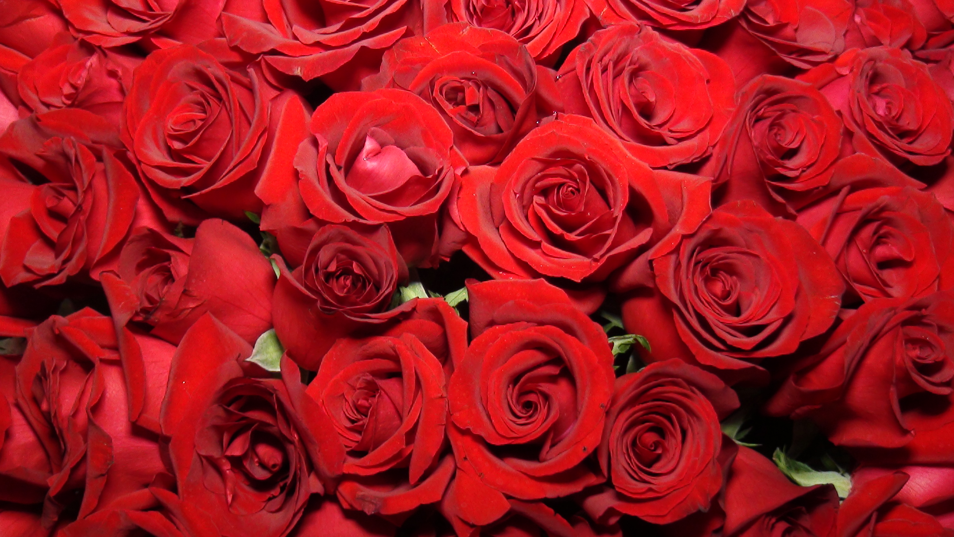 回民婚宴的规矩,回民婚礼的步骤过程有哪些