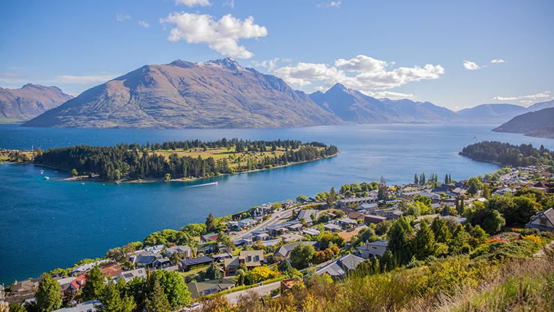 新西兰从中国进口什么水果,新西兰猕猴桃产业成功