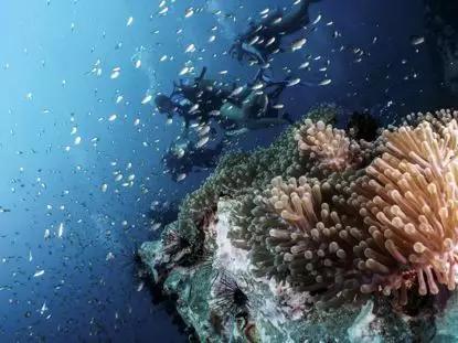 假期撒手没的戏精同事们，竟然在我挤春运的时候吹海风？？（下）