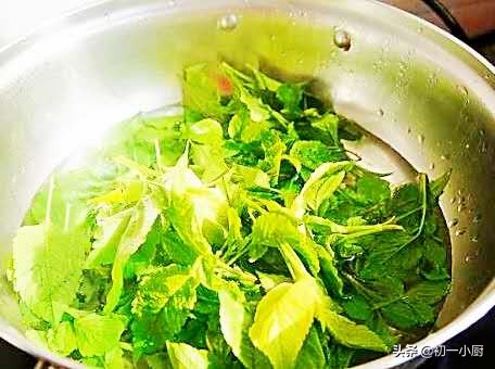 蘑菇荠菜韭菜,韭菜白菜荠菜