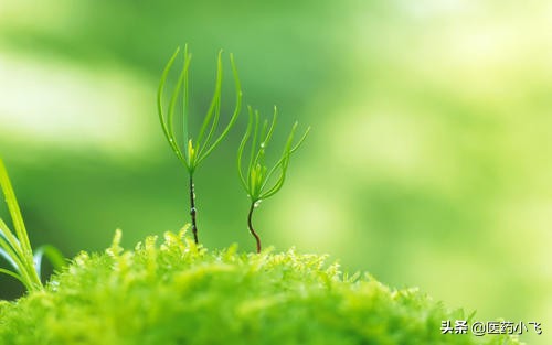 姣忔棩鍖昏嵂鍘氭湸,涓欓吀姘熸浛鍗℃澗涔宠啅