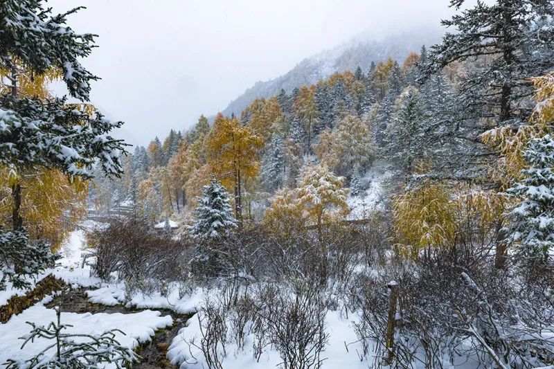 四川木格措旅游自驾游攻略2天,成都自驾到木格措旅游攻略