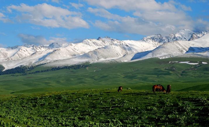 准噶尔汗国有多少维吾尔人,维吾尔族与准噶尔汗国的关系