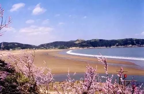 上海周边干净的沙滩,上海沙滩