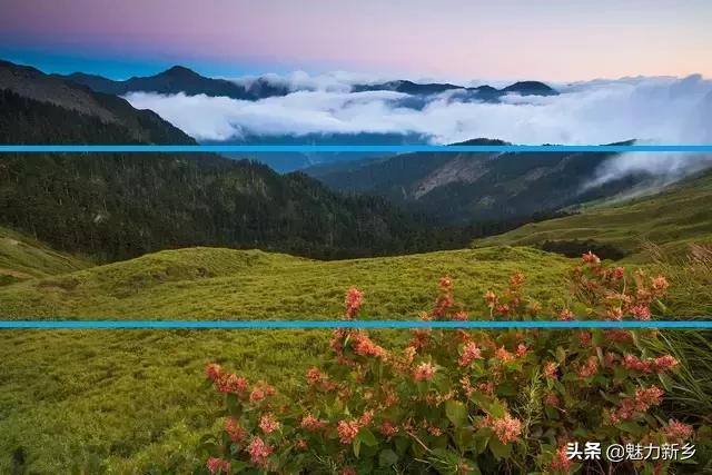 拍摄构图中常用的5种景别,摄影技巧三分法