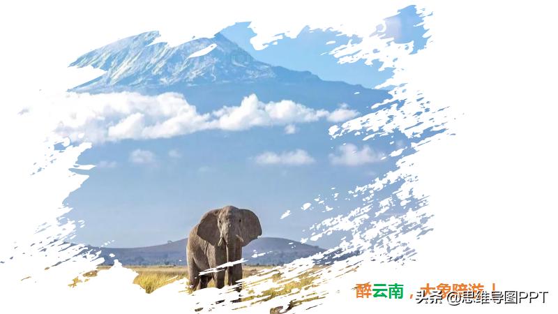 如何搞定ppt素材,ppt素材自学入门完整教程