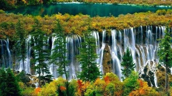 一周在线︱加快居家适老化改造;光明网评“身份证替代老年证”