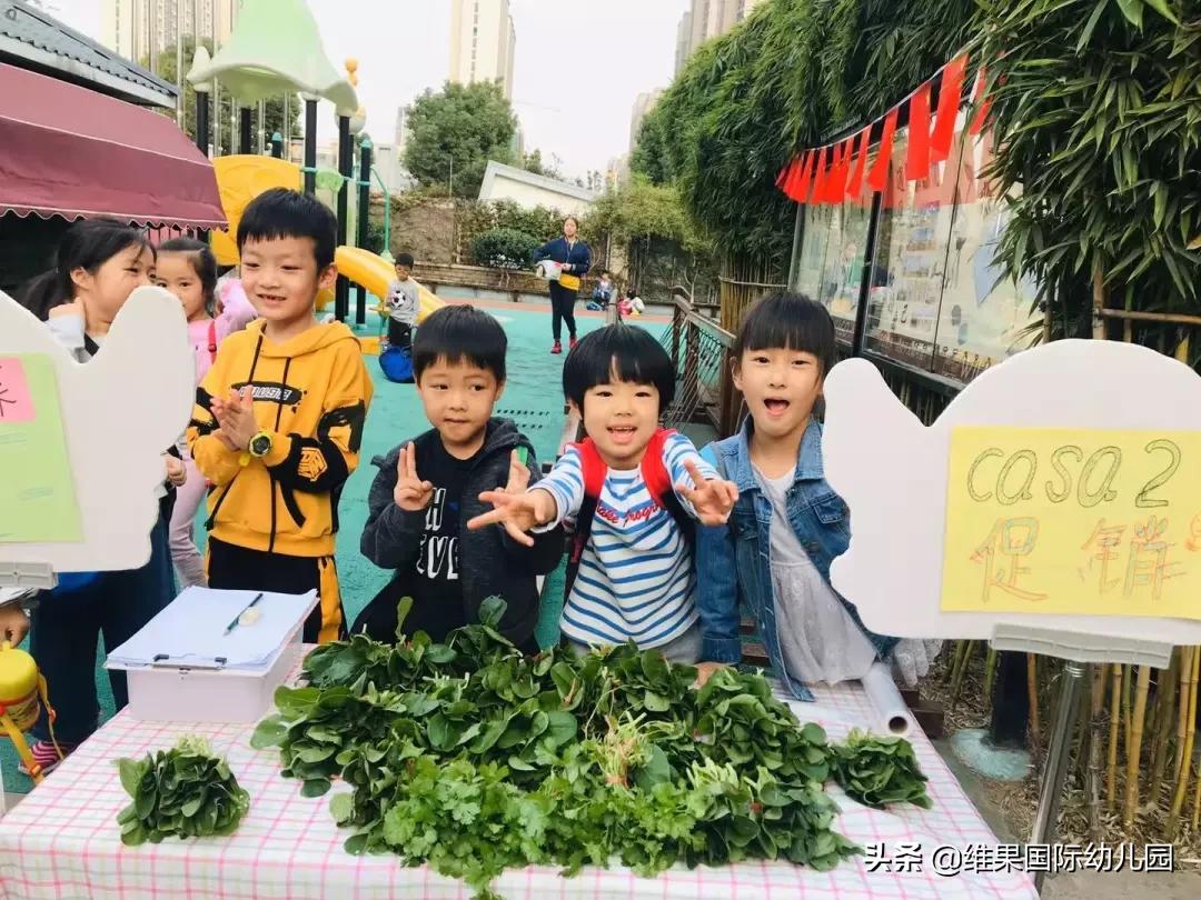 蒙台梭利幼儿园工作,蒙台梭利幼儿园视频