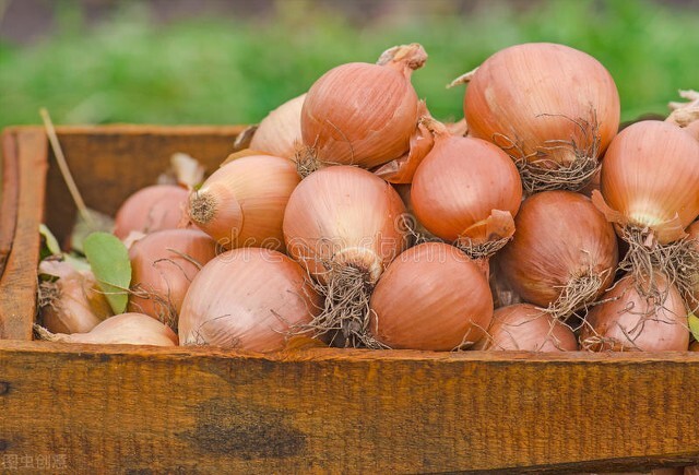 浙江洋葱种植时间和方法 (洋葱和大蒜种植时间)