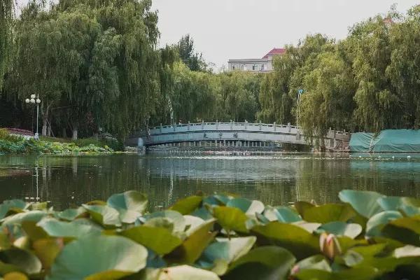 辽宁省普通高等院校（二十二）渤海大学