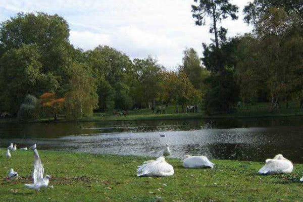 伦敦白金汉宫周边半日游,英国伦敦打卡地方