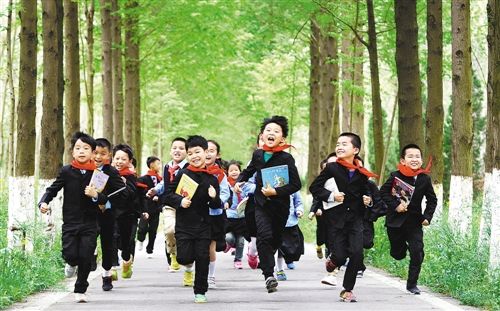 简单评价嘉德蒙台梭利幼儿园,蒙台梭利幼儿园介绍