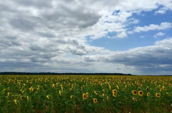 骑行屁股痛怎样克服,骑行久了屁股疼怎么解决