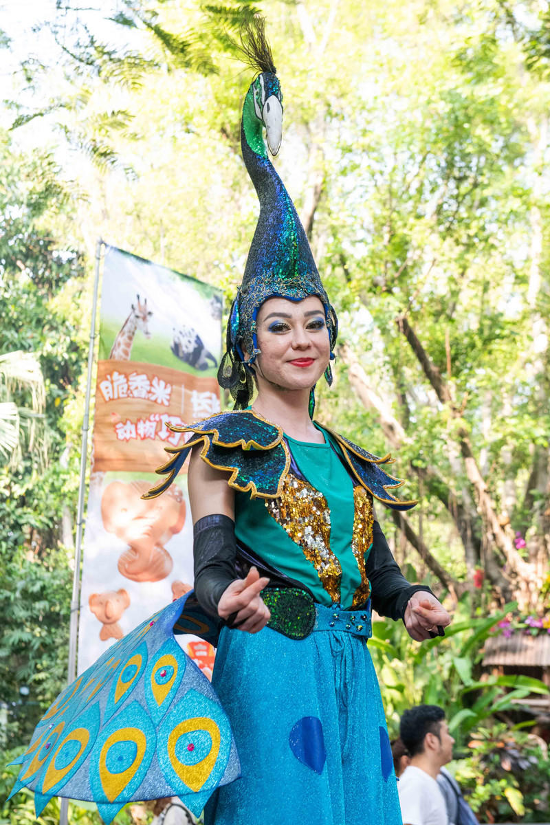 玩转广州长隆野生动物世界之行,广州长隆动物世界游玩攻略图