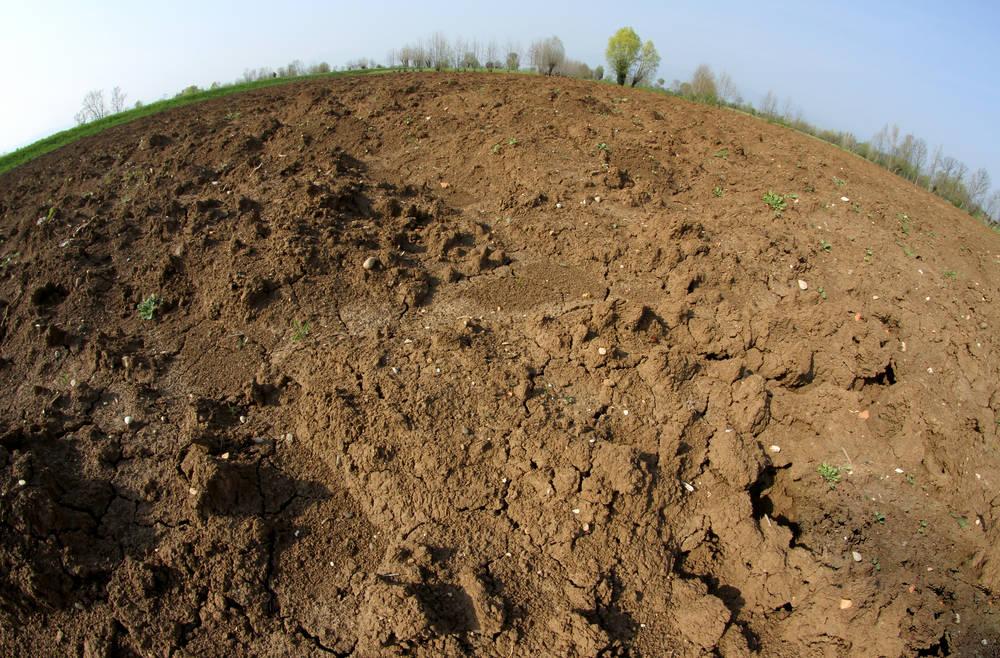 五颜六色的土壤是怎么形成的,科学为什么会有五颜六色的土壤