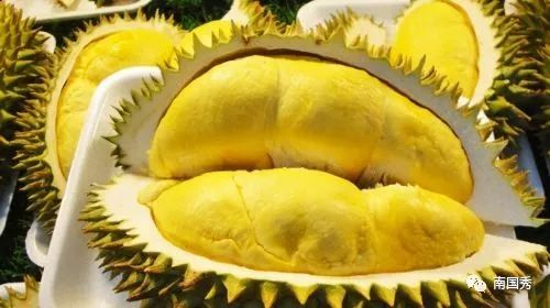 三亚游玩可以带什么特产回去,三亚特产大全图片