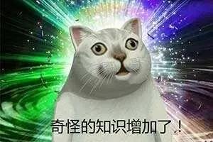 网上诈骗的基本套路,网络诈骗团伙两百多人被抓