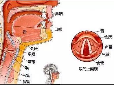 嗓子干燥感觉很缺水怎么快速恢复,冬天嗓子沙哑怎样调理