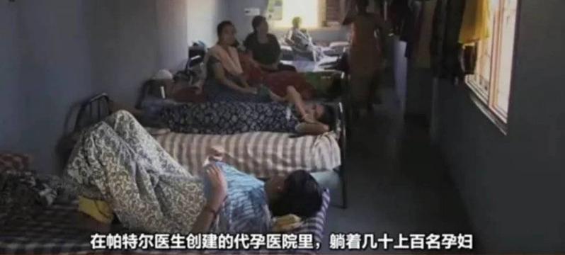 台湾代孕合法化引争议:你以为的公平交易不过是对贫民的压榨剥削