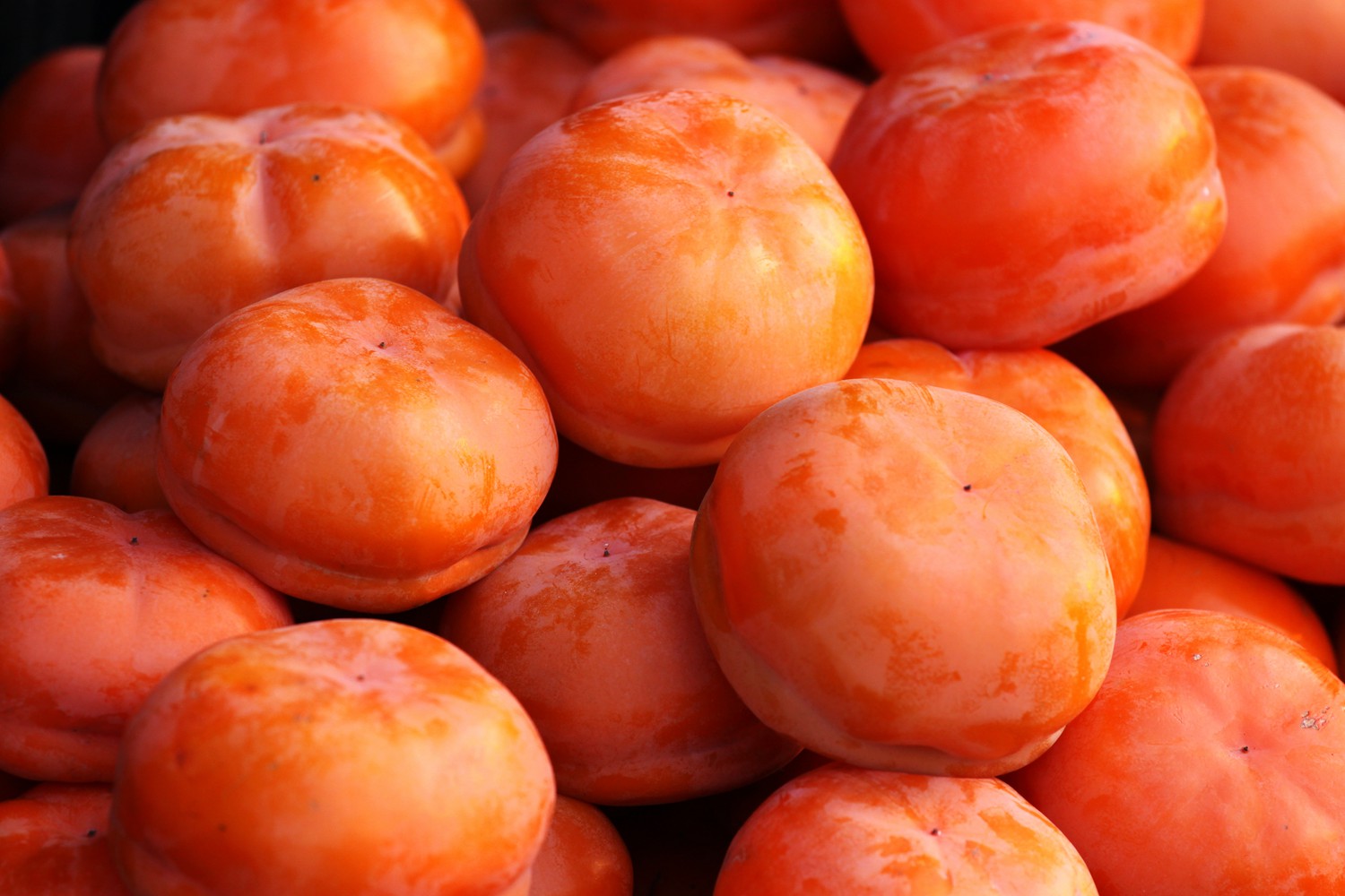 丰收快乐节,农民丰收节唱出丰收喜悦