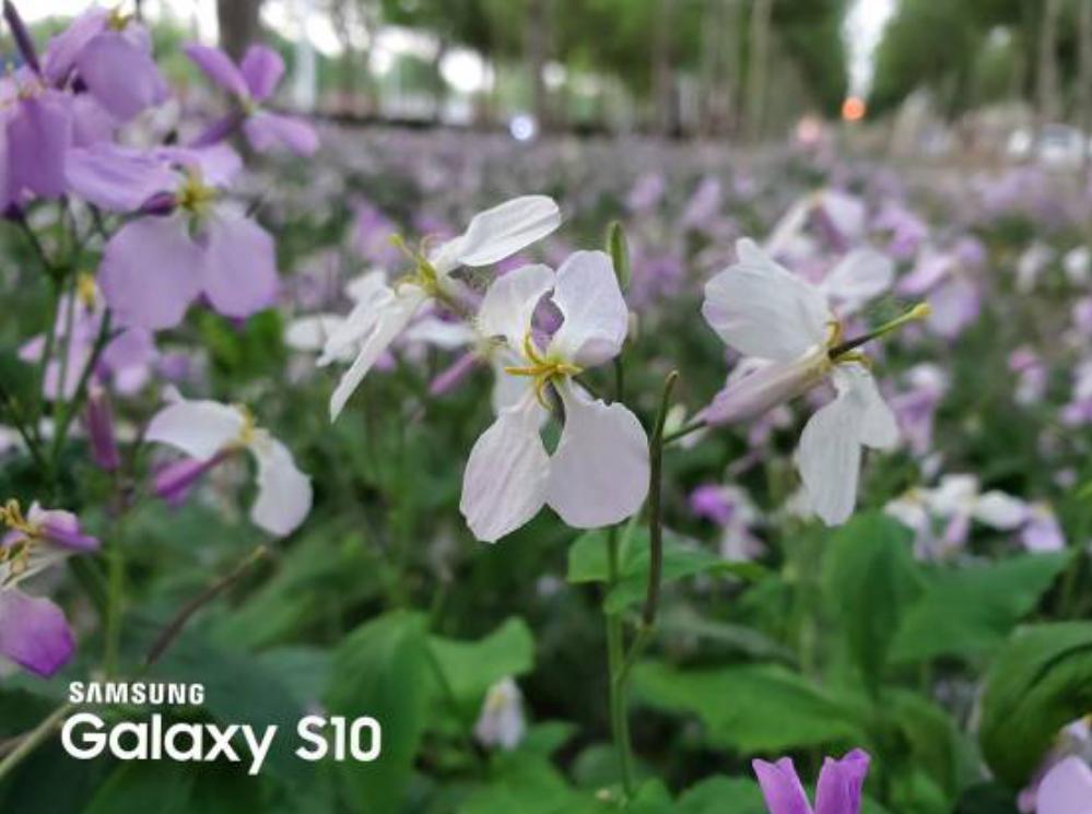 三星galaxys10性能测评,外媒三星galaxys10全系列上手体验