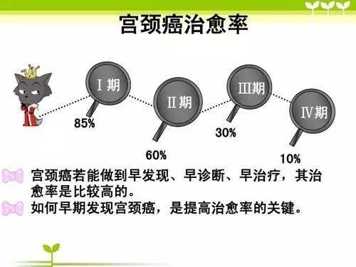 快收藏!2019年度港城最全两癌筛查知识!
