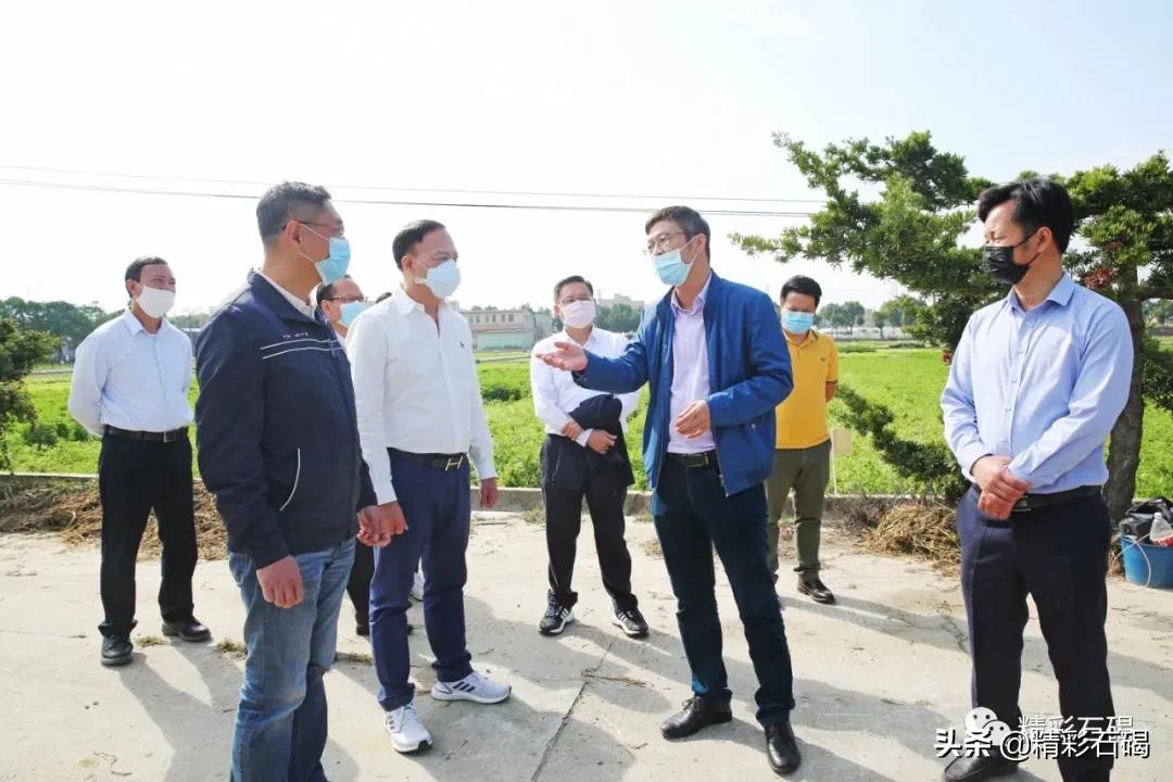 同比上升50%！润丰集团确保供港蔬菜供应，助力全国抗疫！