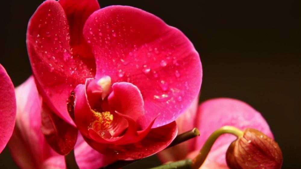 聪明女人在爱情里懂得这些事,在爱情里女人必须要知进退