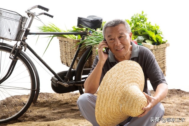 老年手机话费欠费怎么交,家里的老人手机话费多是什么情况