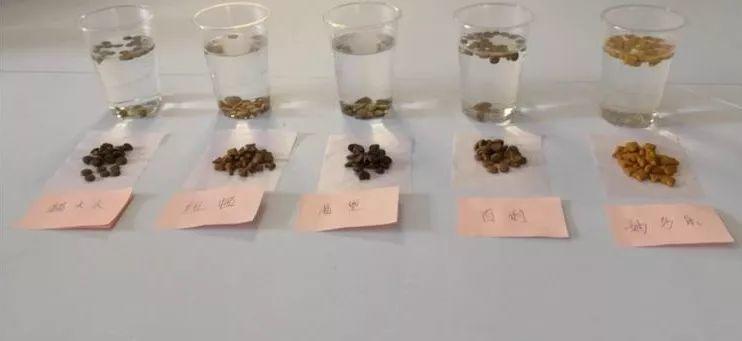 最宠品牌的全价猫粮测评,宠食界猫粮测评