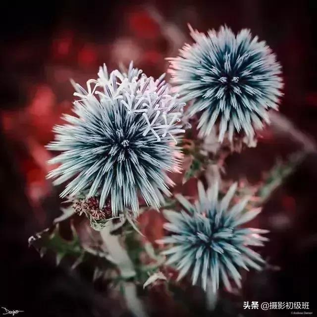 胎儿后期发育慢是什么原因,怀孕后期羊水少是什么原因