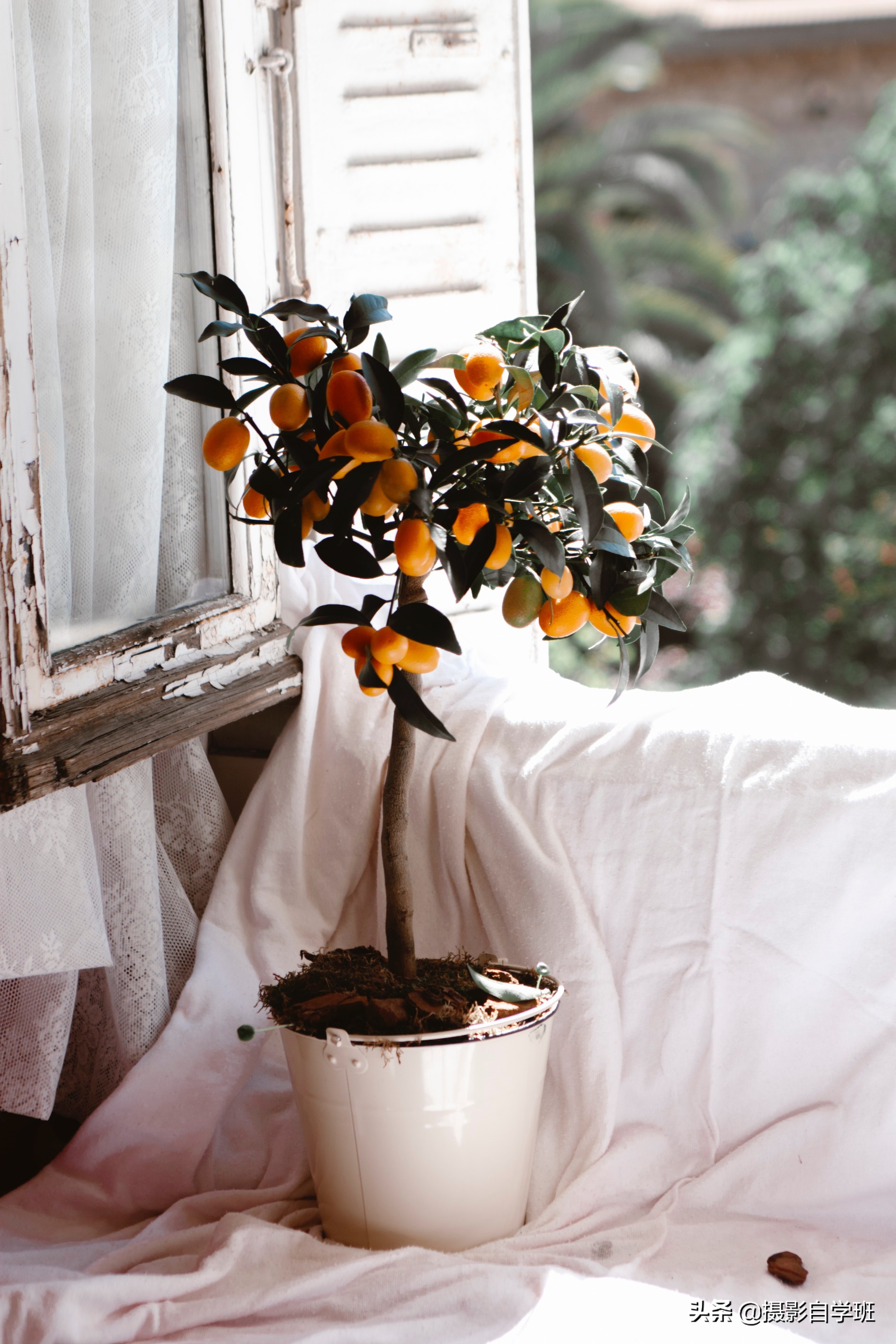 水果拍照怎么拍出高级感,摄影拍照水果技巧