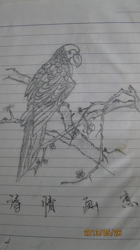 那些课本涂鸦的惊艳瞬间,大学超级励志的涂鸦