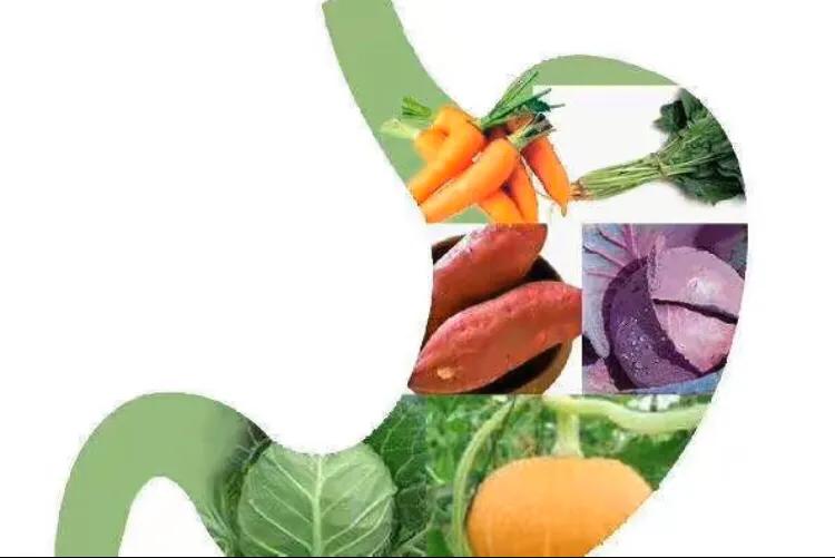 胃不好教你如何科学养胃,胃不好冲什么喝比较养胃