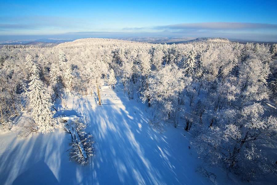 实不相瞒，我就是鹤岗的女婿