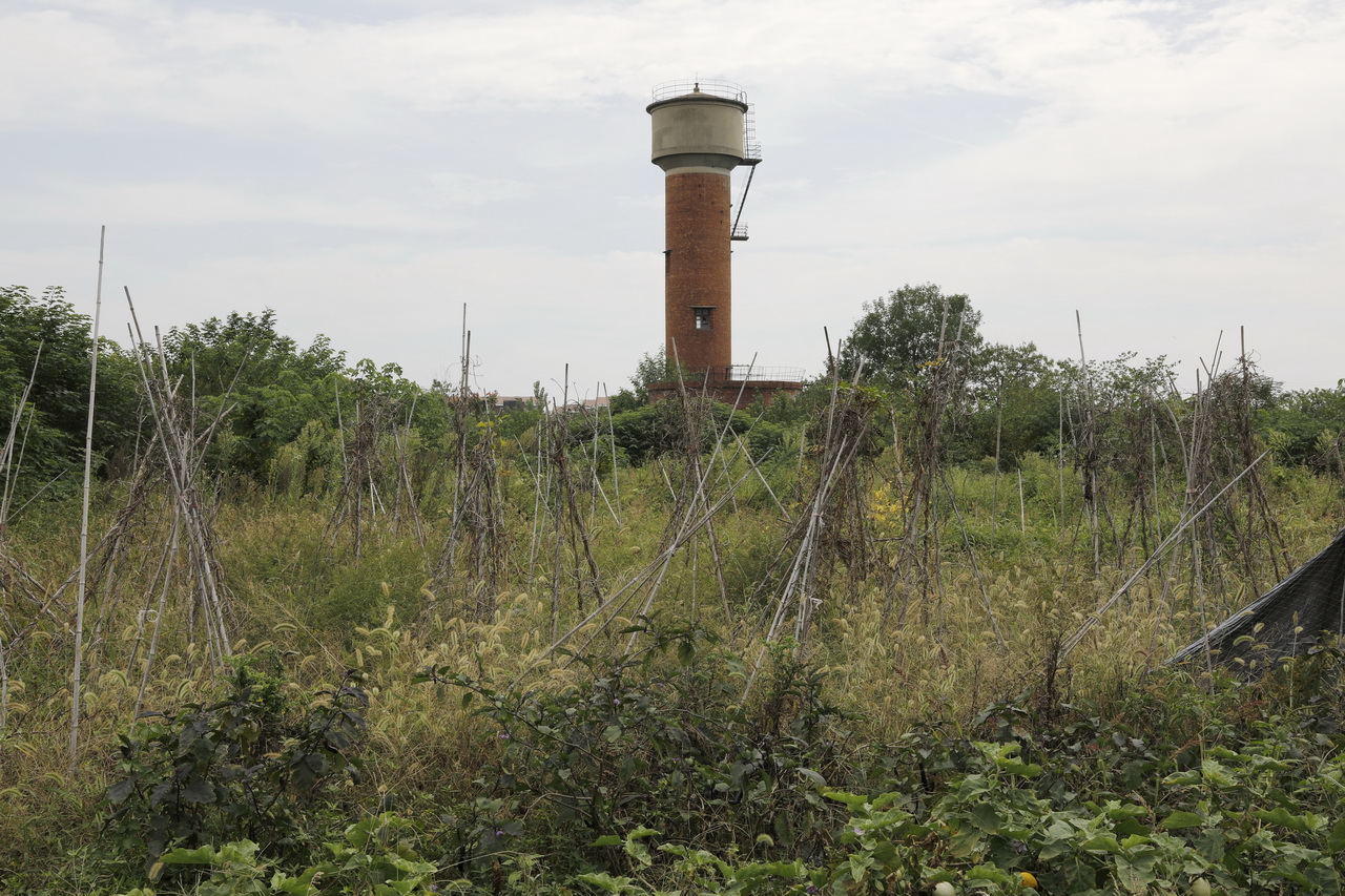 武汉市第七砖瓦厂陈建华,武汉砖瓦厂的发展现状