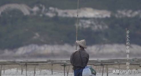 可爱的章鱼适合做章鱼烧,制作一个小型章鱼烧