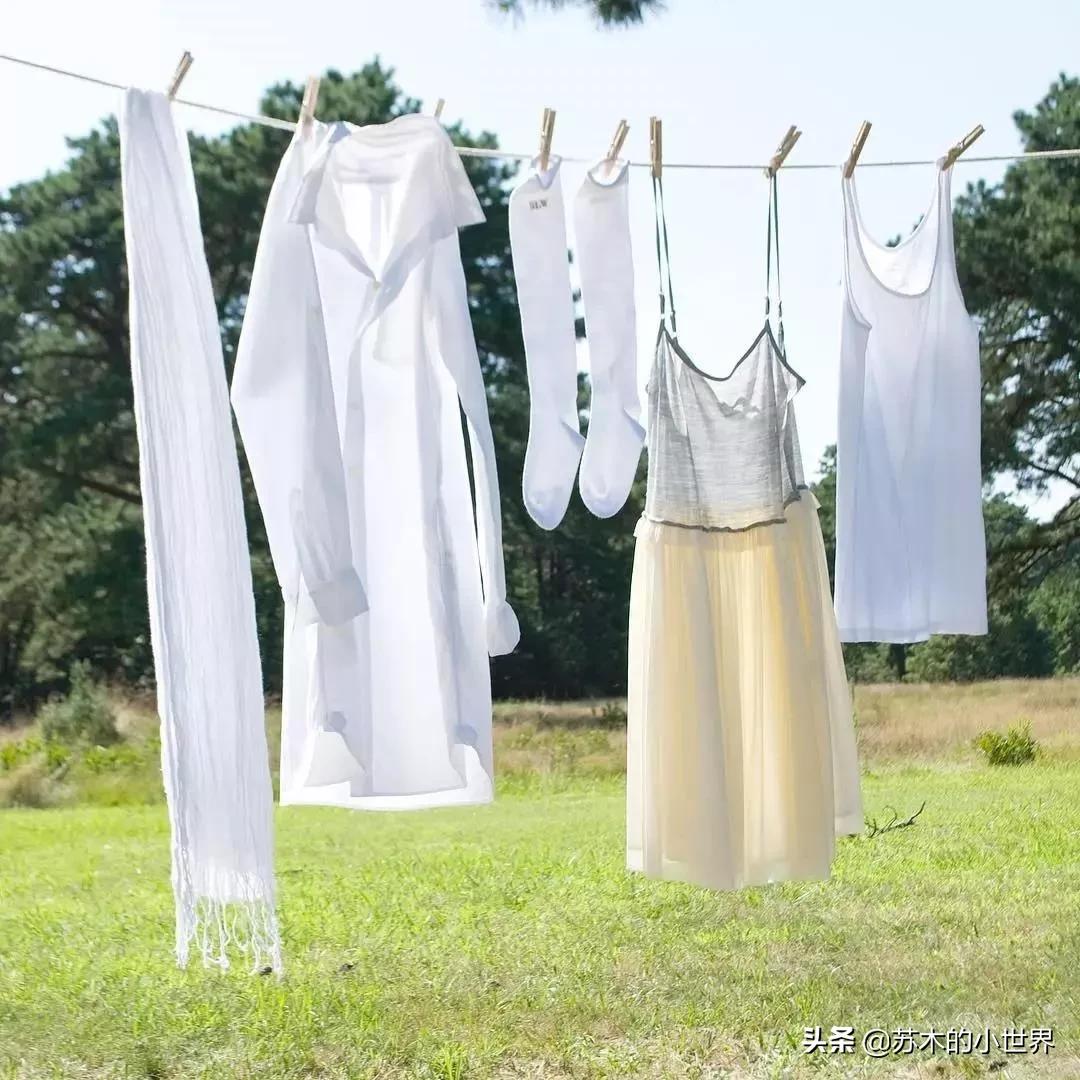 十大最好用的洗护用品,十大最好用的洗护系列