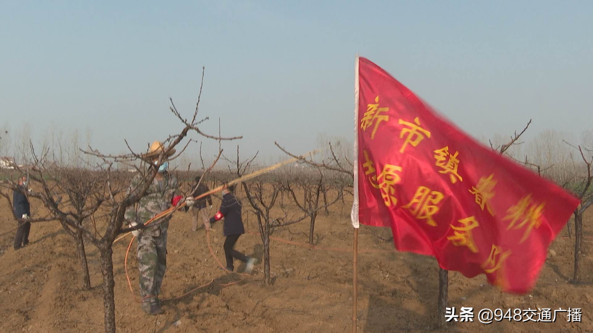 防疫秋收秋播两不误,防疫春耕两不误展开突围