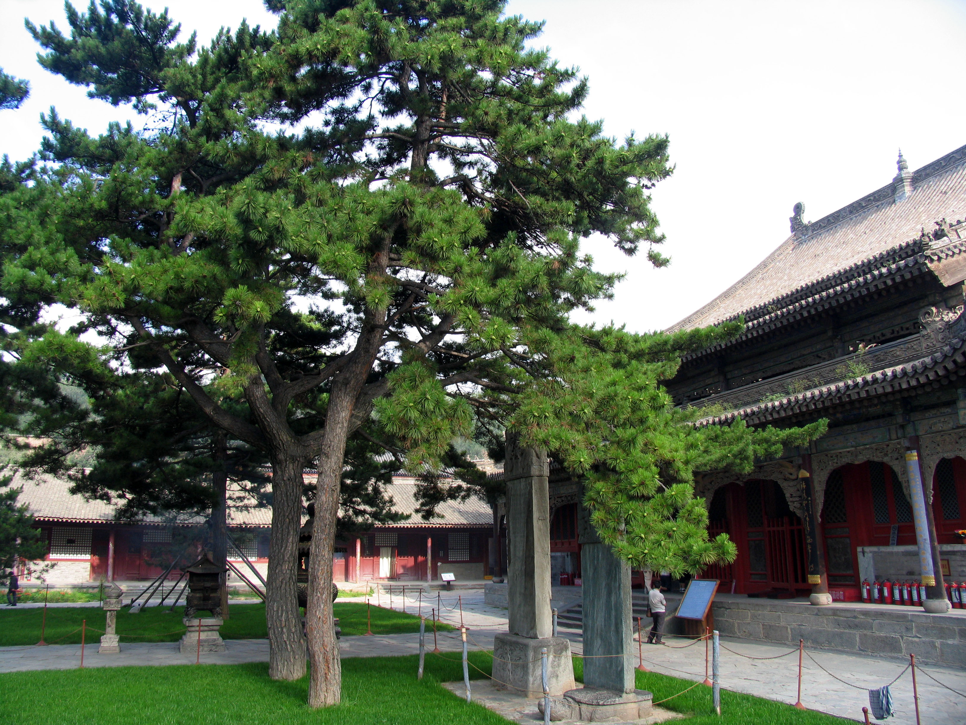 世界文化遗产手抄报五台山,五台山是非物质文化遗产吗