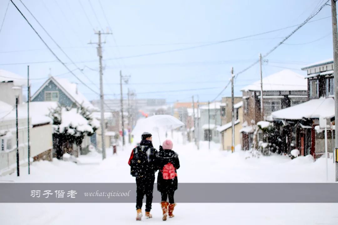 老实说，这一趟北海道就是为了拍好看的照片去的