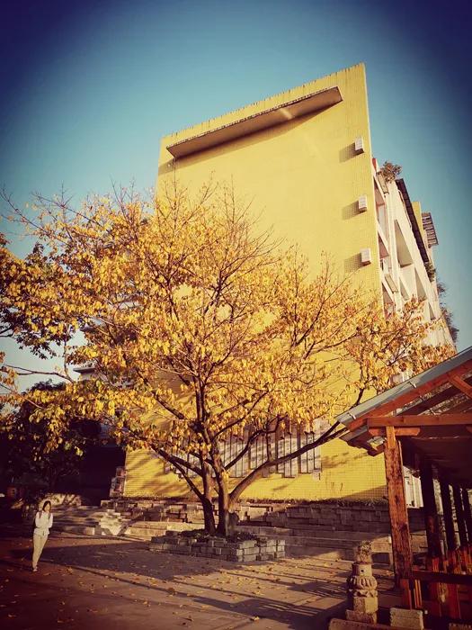 大渡口区重点中学,重庆市大渡口区三十七中录取标准